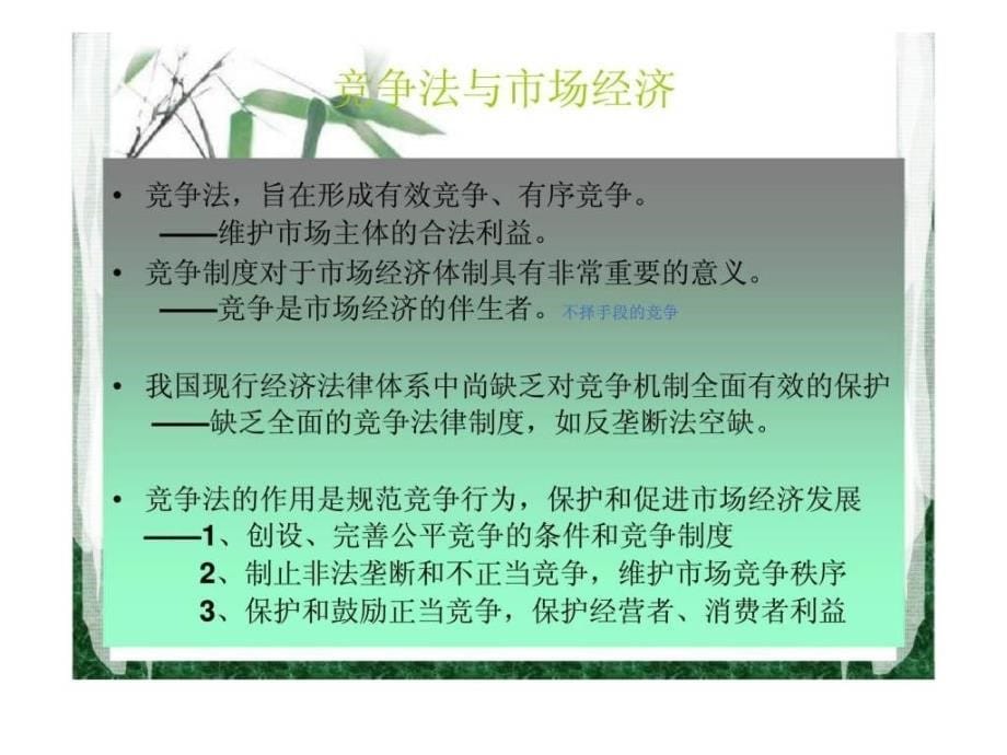 竞争法律制度PPT课件_第5页