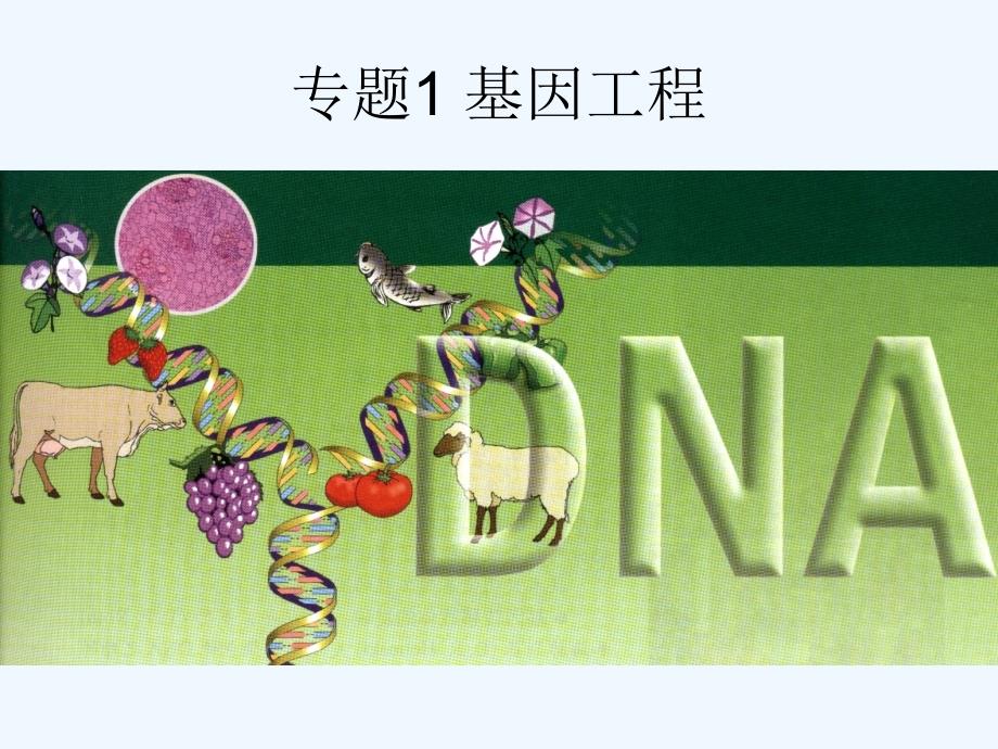 浙科版生物选修基因工程课件ppt_第4页