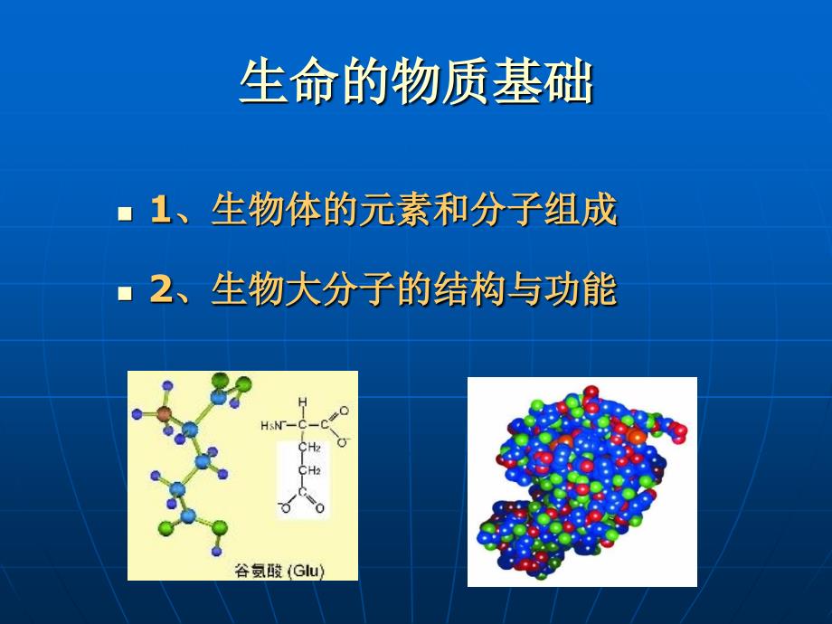 《生物化学基础》PPT课件_第2页