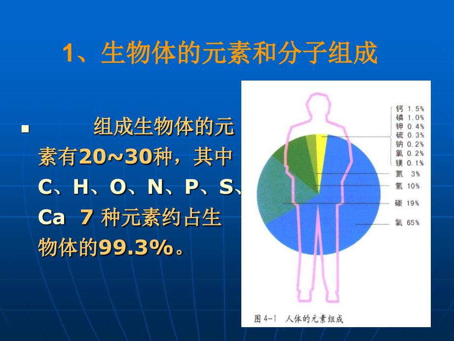 《生物化学基础》PPT课件_第3页