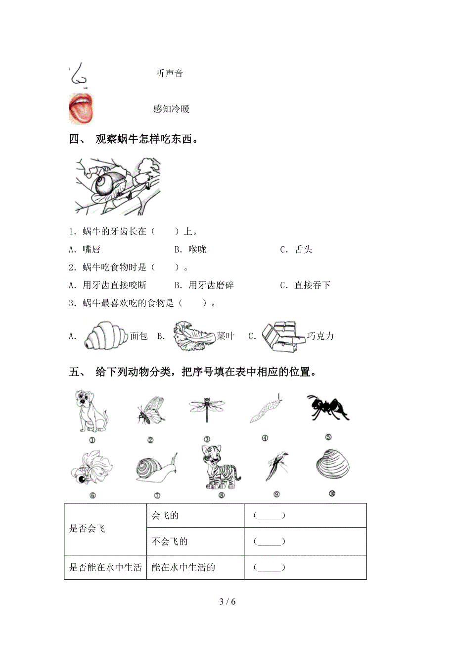 最新教科版一年级科学上册期中测试卷(精选).doc_第3页