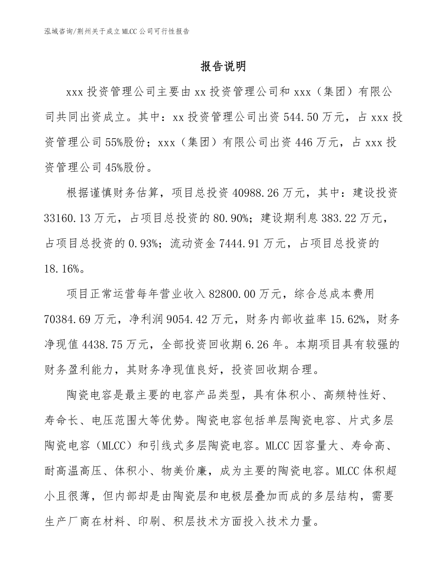 荆州关于成立MLCC公司可行性报告（模板参考）_第2页