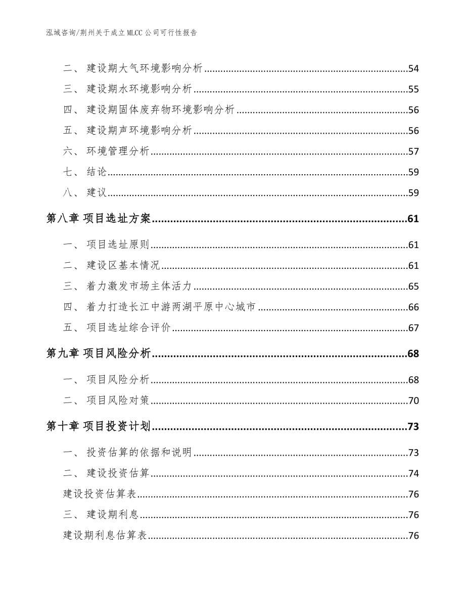 荆州关于成立MLCC公司可行性报告（模板参考）_第5页