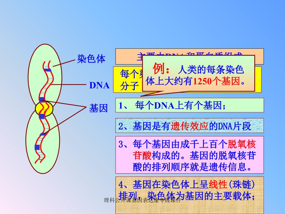 理科公开课基因表达康冬霞课件_第1页