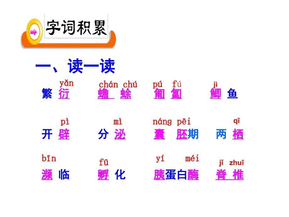 人教版八年级语文上册四单元阅读17奇妙的克隆研讨课件28_第5页