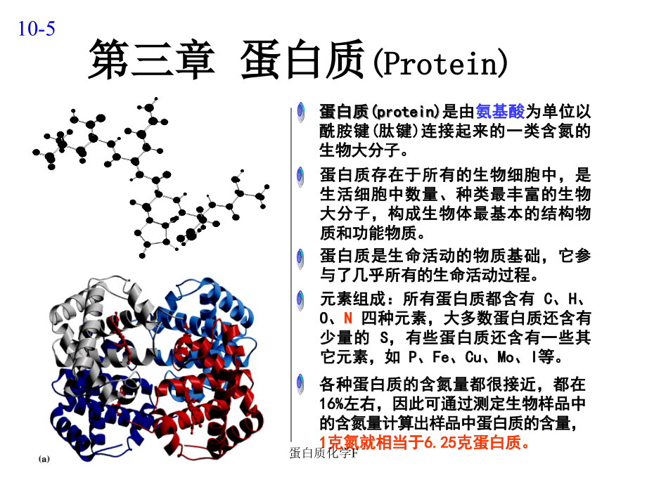 蛋白质化学F课件_第1页