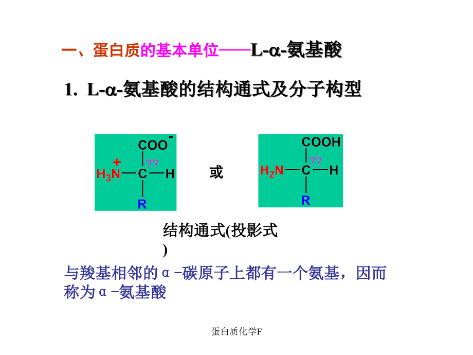 蛋白质化学F课件_第4页