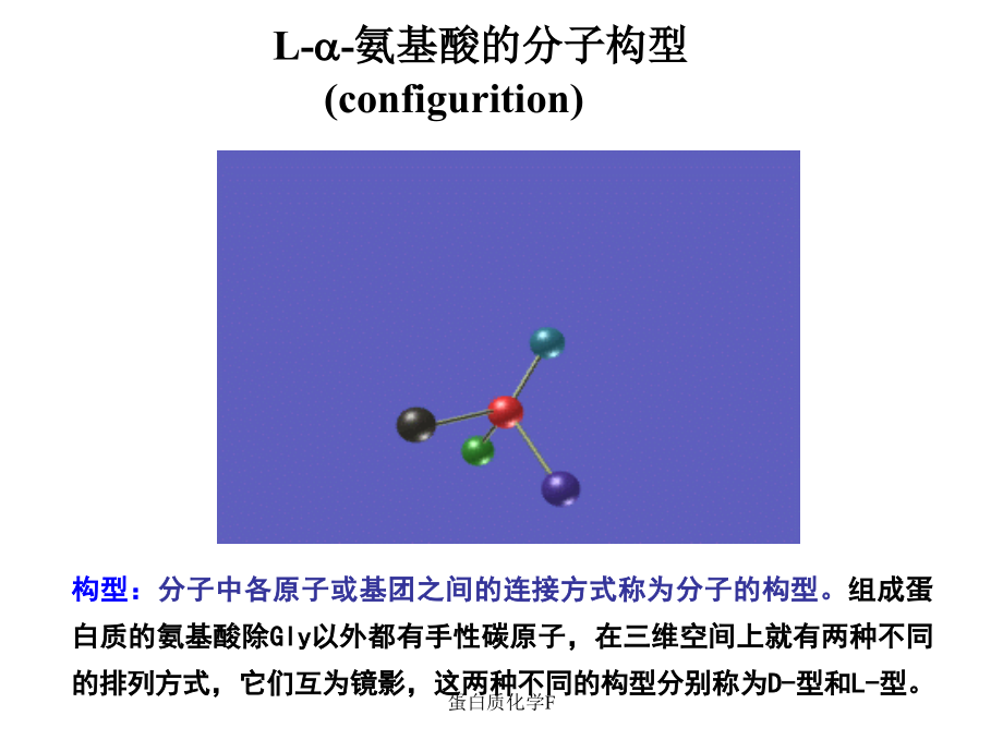 蛋白质化学F课件_第5页