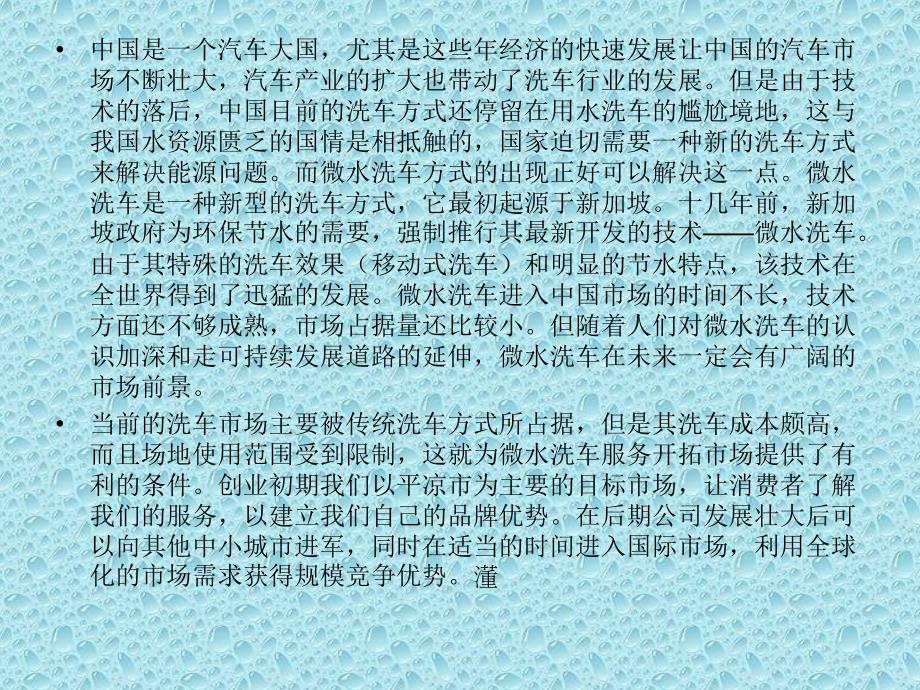 速腾汽车美容公司创业计划书_第4页