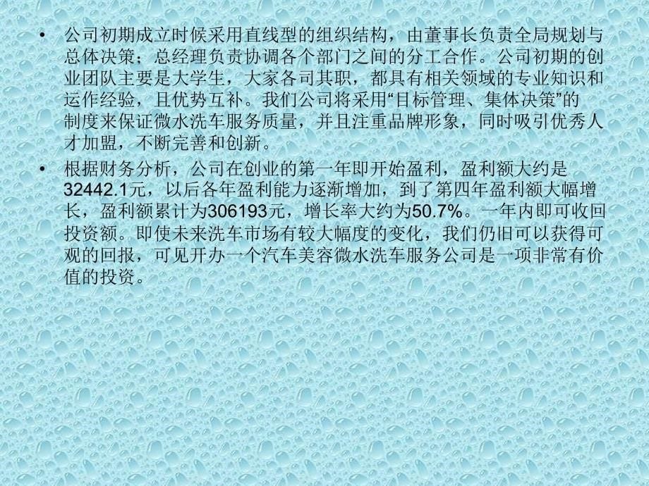 速腾汽车美容公司创业计划书_第5页