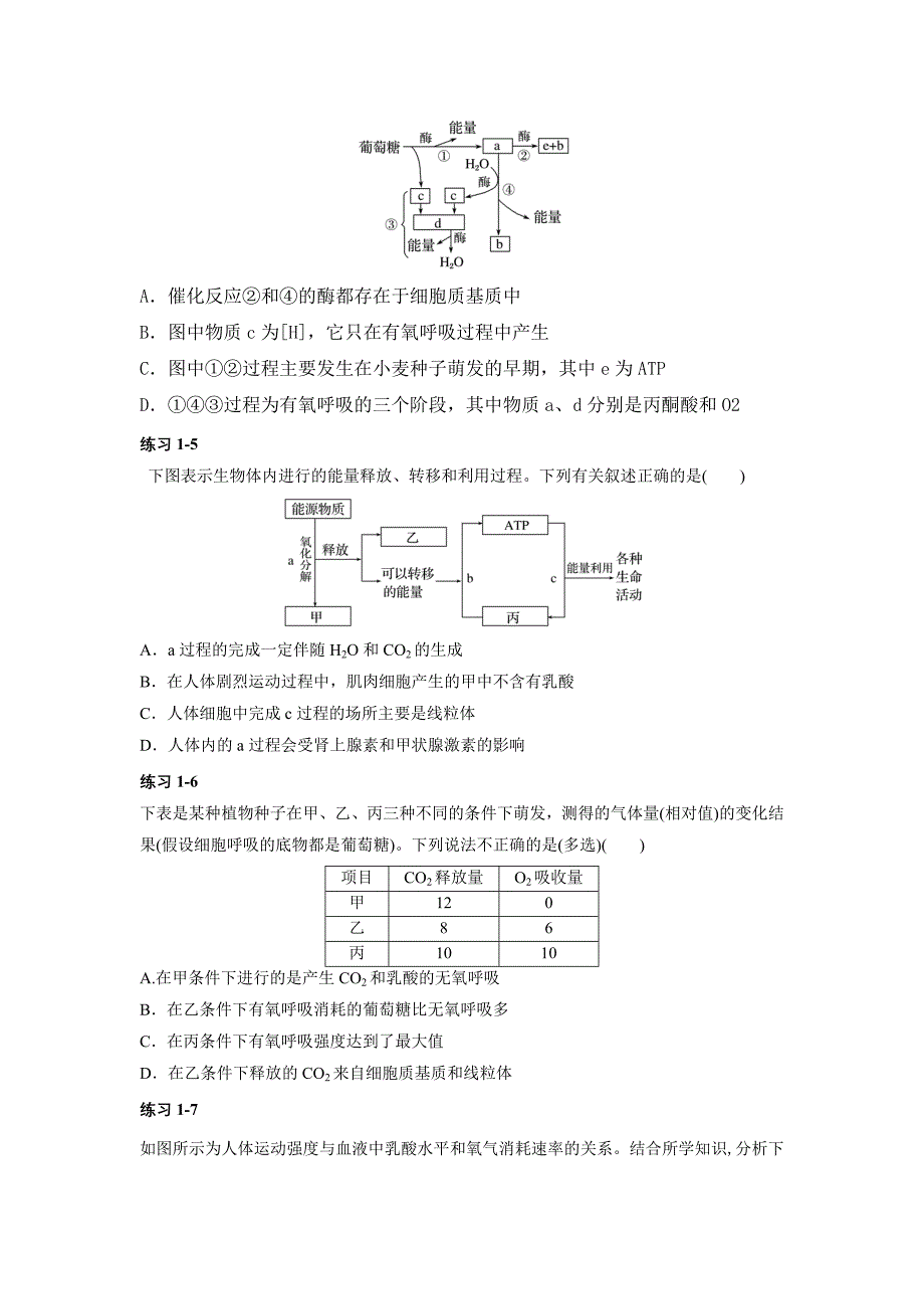 高三一轮复习生物讲义：光合和呼吸.docx_第3页