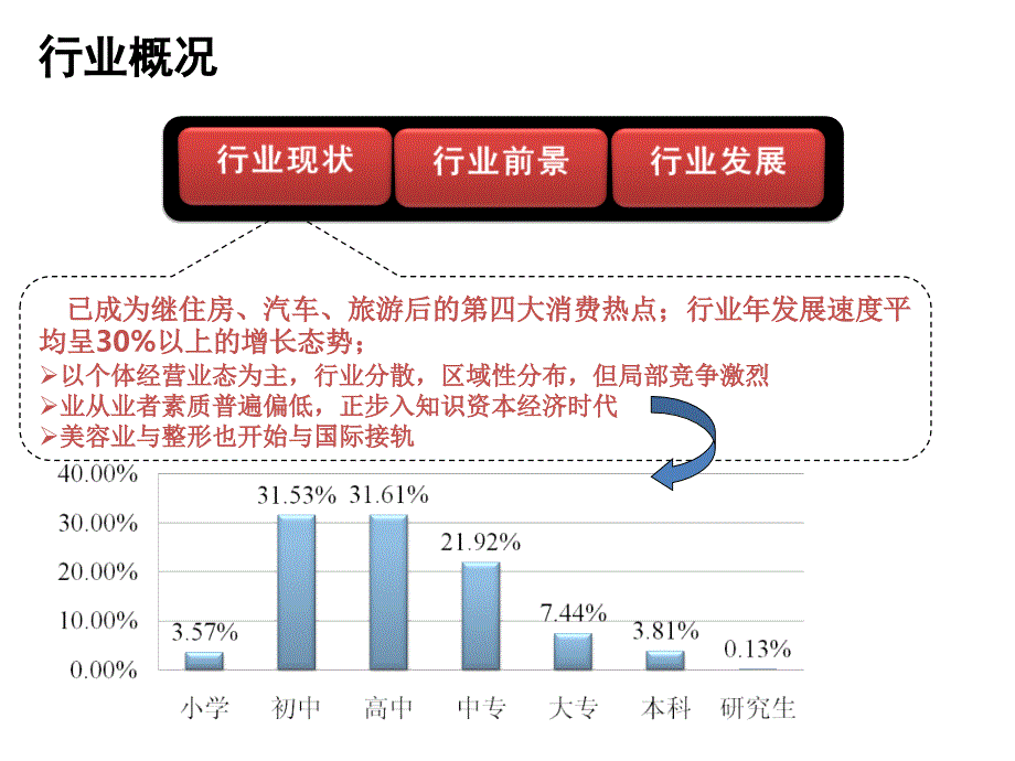 《美容行业分析》PPT课件_第2页