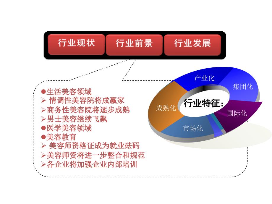 《美容行业分析》PPT课件_第3页