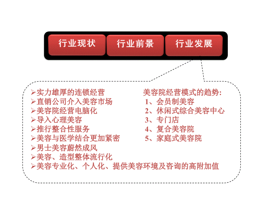 《美容行业分析》PPT课件_第4页