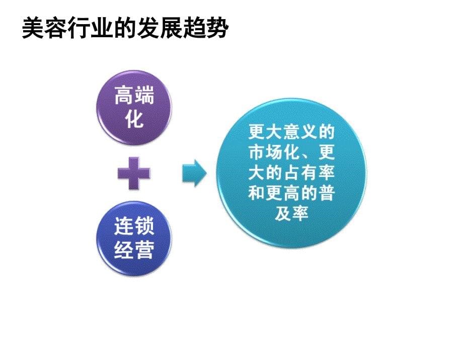 《美容行业分析》PPT课件_第5页