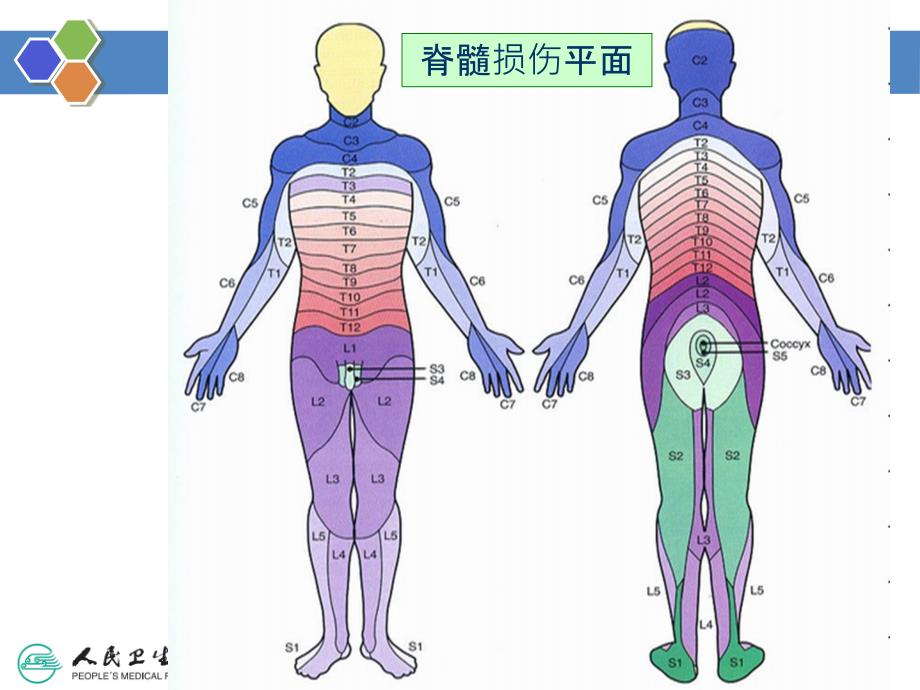 附推拿常用临床检查_第4页