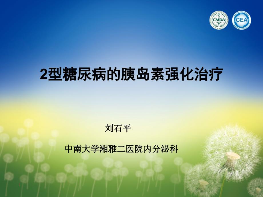 2型糖尿病的胰岛素强化治疗刘石平教授.ppt_第1页