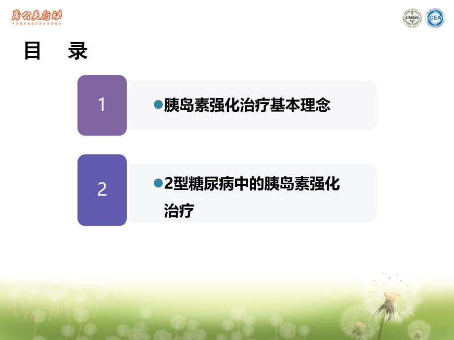 2型糖尿病的胰岛素强化治疗刘石平教授.ppt_第2页