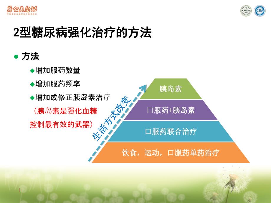 2型糖尿病的胰岛素强化治疗刘石平教授.ppt_第4页