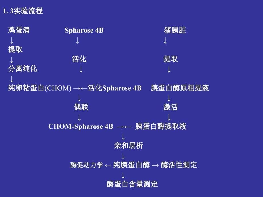 亲和层析法纯化胰蛋白酶第一部分实验内容简介0_第5页