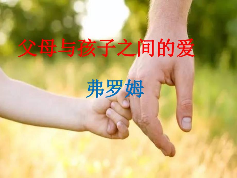 《父母与孩子之间的爱》教学ppt课件_第1页