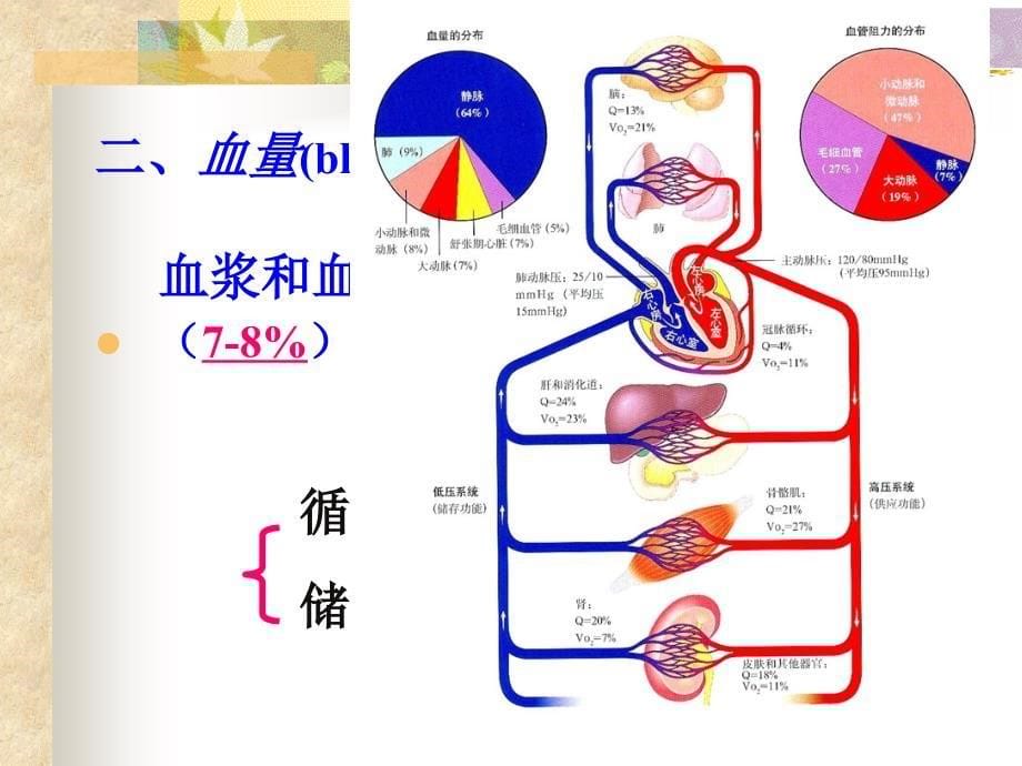 血浆渗透压课件_第5页