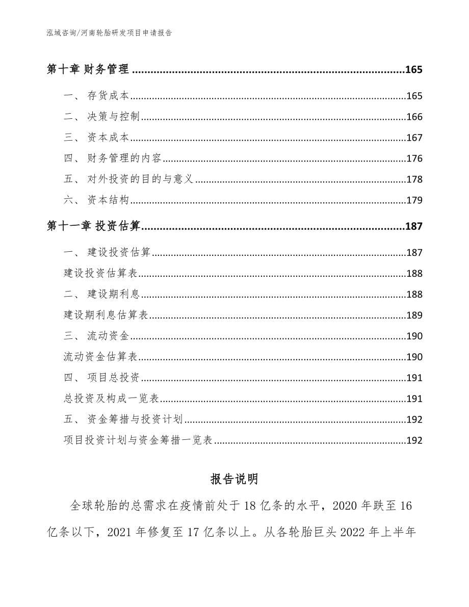 河南轮胎研发项目申请报告_第5页