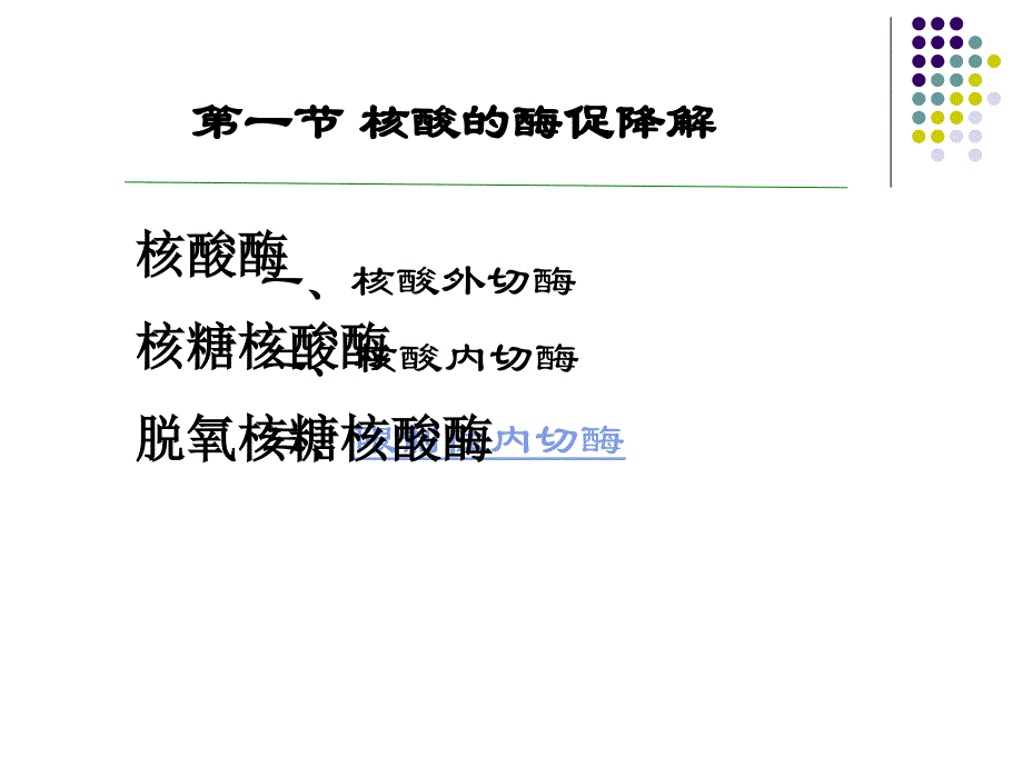 核酸的酶促降解与苷酸代谢_第2页