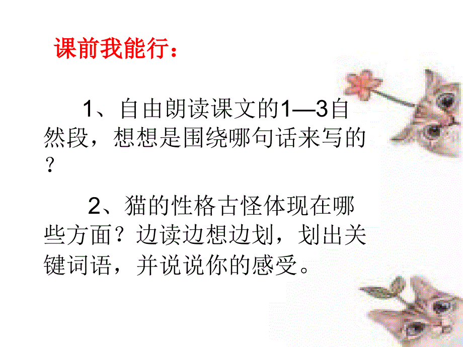 语文人教版四年级上册猫PPT2_第2页