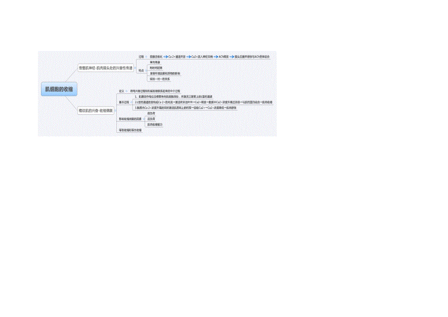 生理学总结图片_第2页