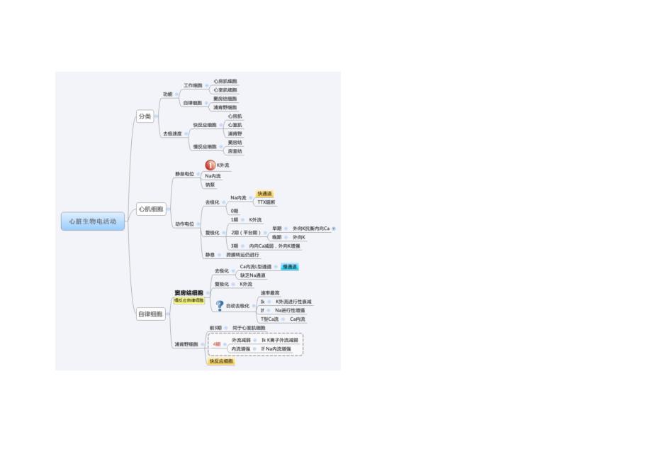 生理学总结图片_第3页