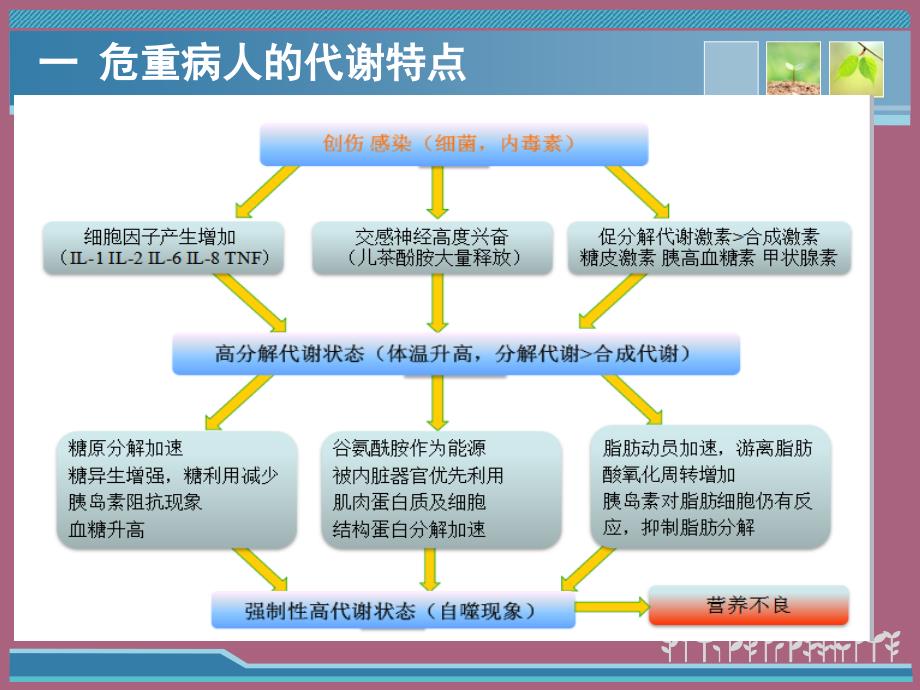 危重病人的代谢特点及营养评定ppt课件_第3页