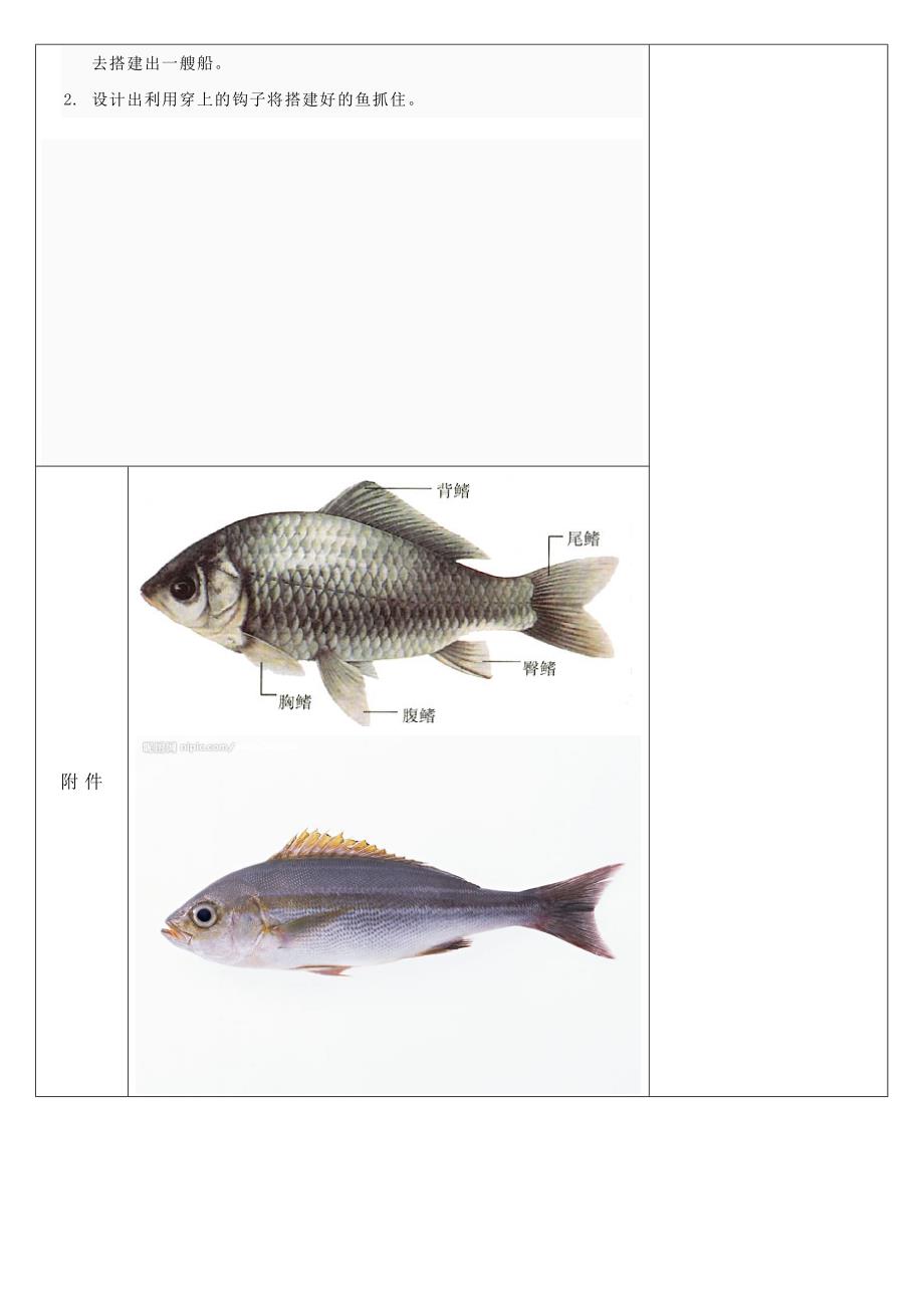 机器人教学-1肢体运动-鱼_第3页