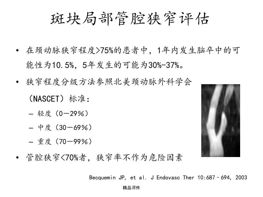 颈动脉斑块的MR诊断课件_第5页