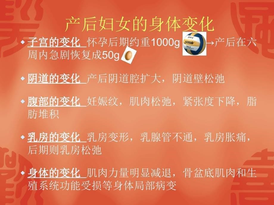 产后盆底肌康复课件_第5页