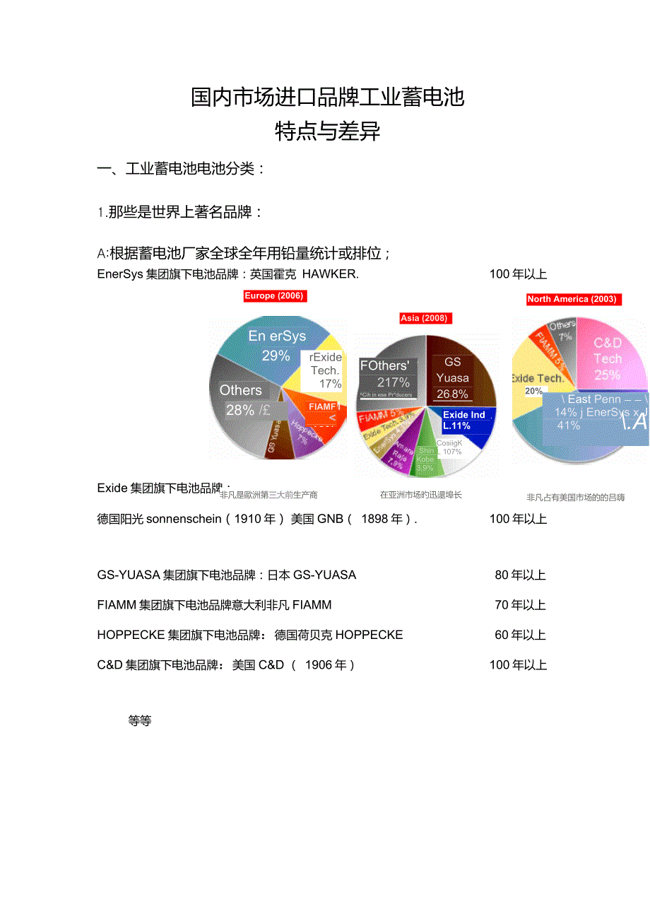 进口蓄电池差异_第1页