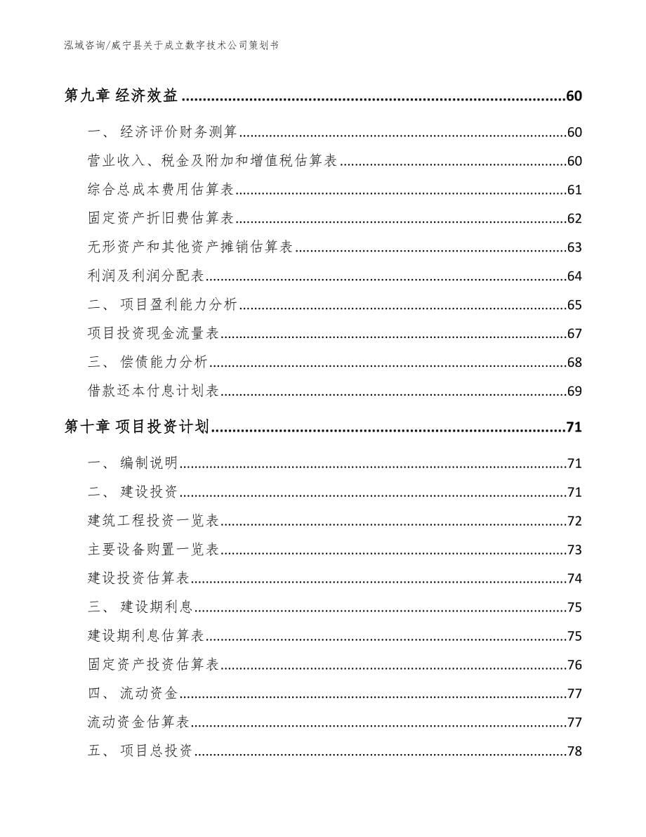 威宁县关于成立数字技术公司策划书【参考范文】_第5页