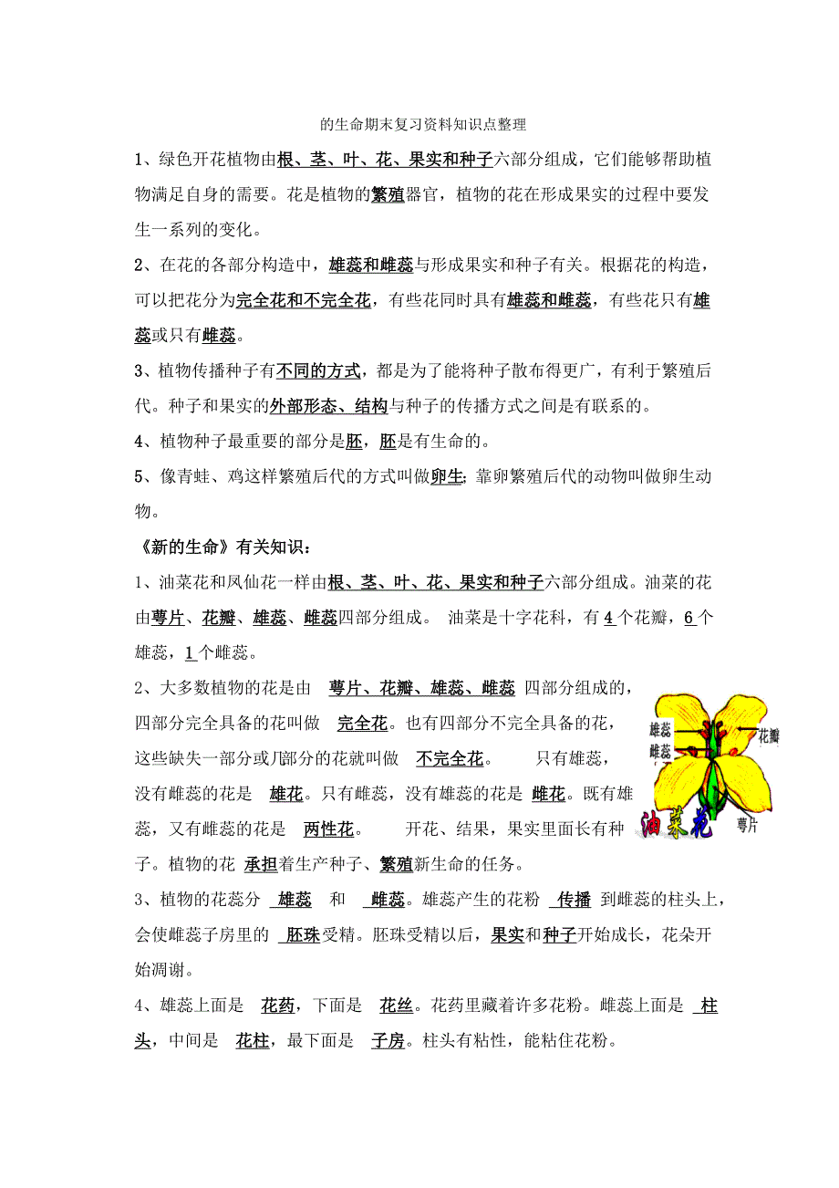 2019-2020年新教科版科学四年级下册第三单元食物期末复习资料知识点整理.doc_第2页