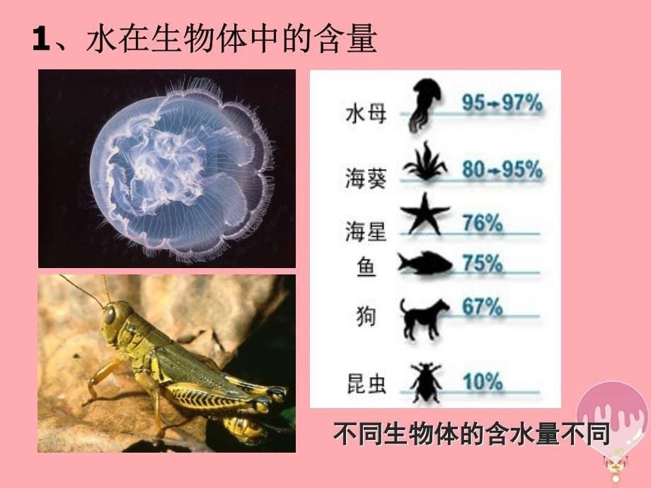 高中生物细胞中的无机物ppt课件新人教版必修一_第5页