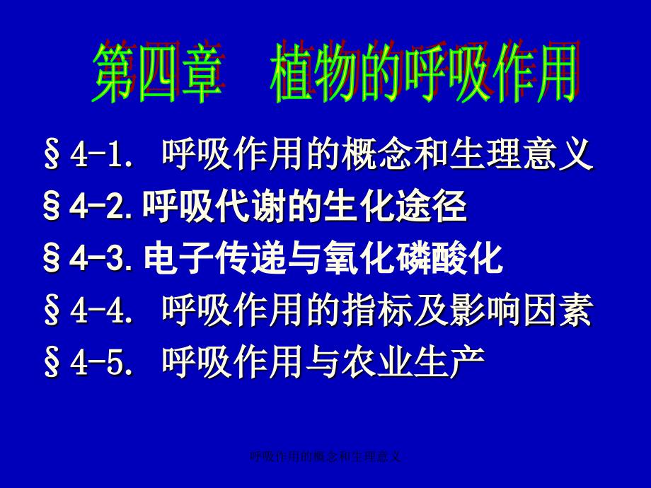 呼吸作用的概念和生理意义_第1页