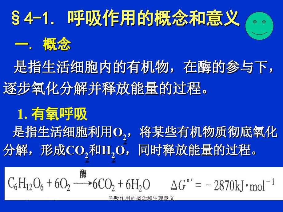 呼吸作用的概念和生理意义_第2页