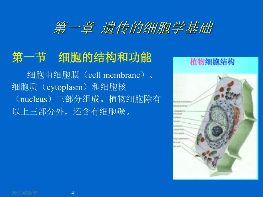 林木遗传育种学课件_第4页