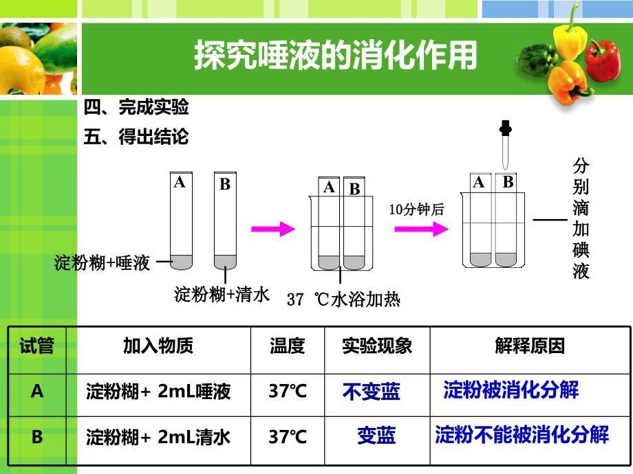 食物在口腔中消化2详解_第3页