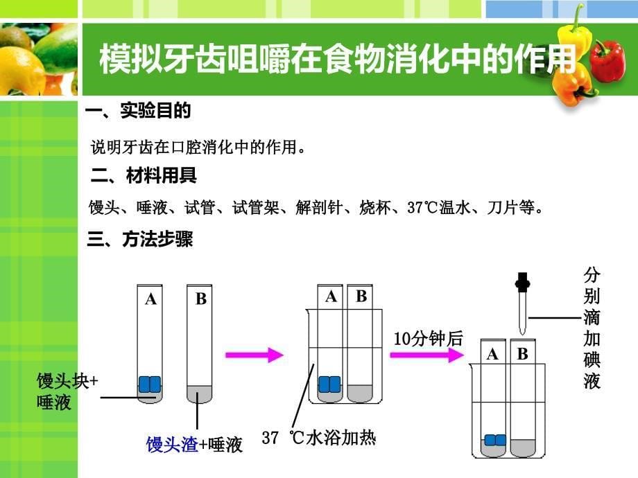 食物在口腔中消化2详解_第5页