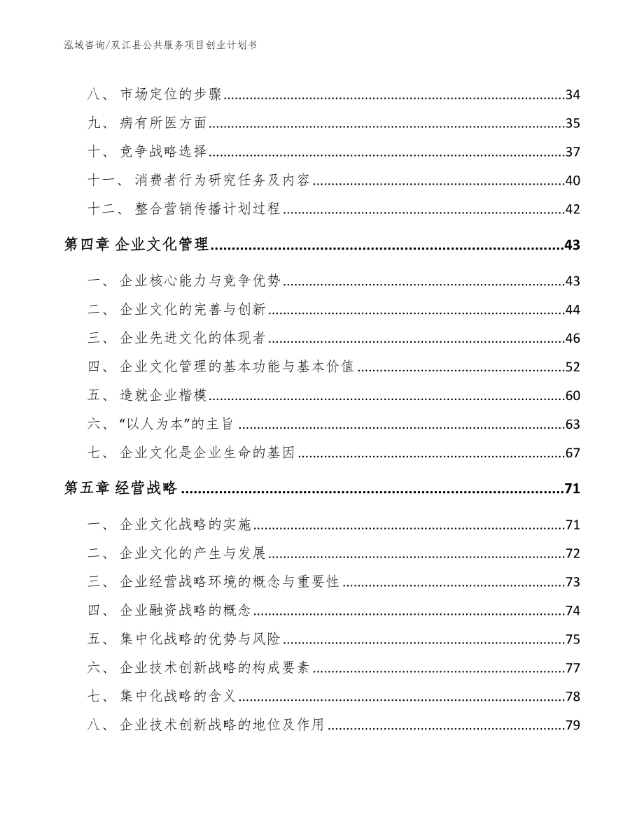 双江县公共服务项目创业计划书_第2页