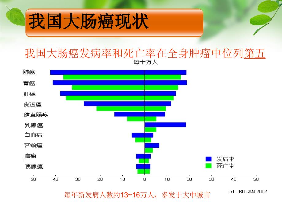 虹膜与肠道健康ppt课件_第4页