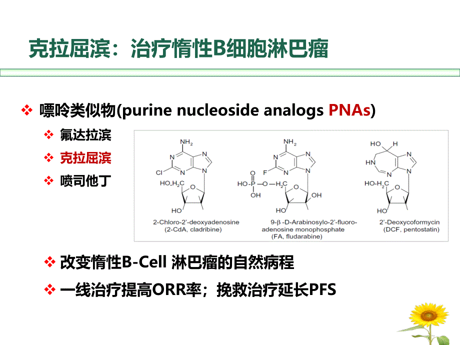 克拉屈滨治疗惰性B细胞淋巴瘤进展与病例分享课件_第4页