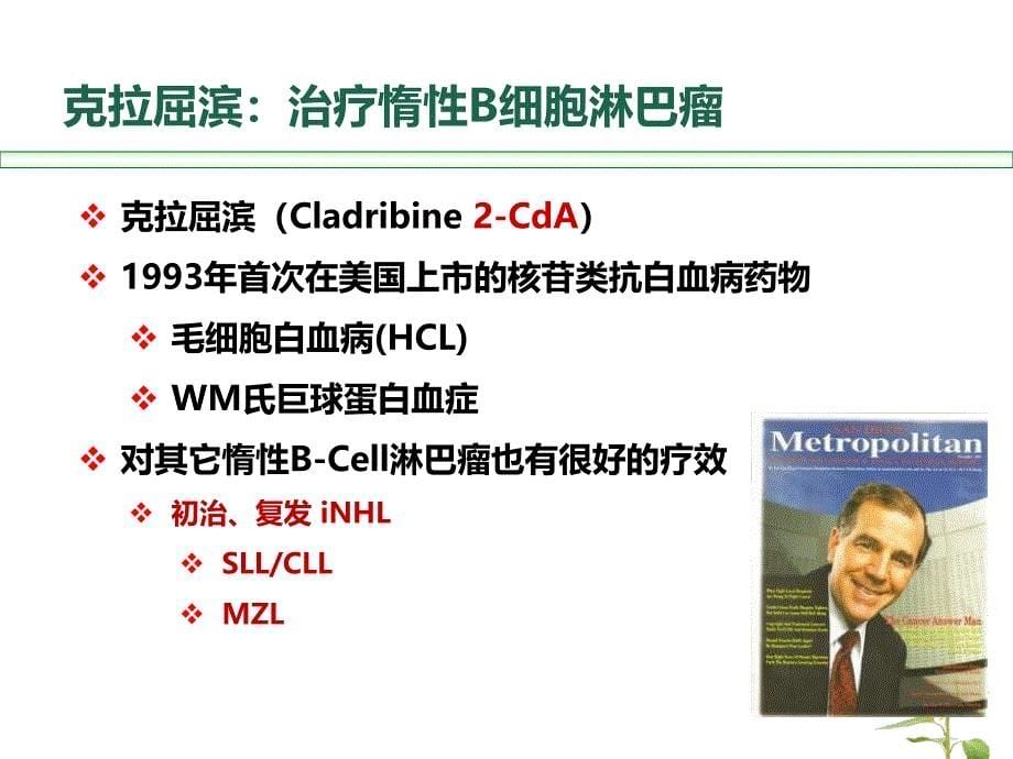 克拉屈滨治疗惰性B细胞淋巴瘤进展与病例分享课件_第5页