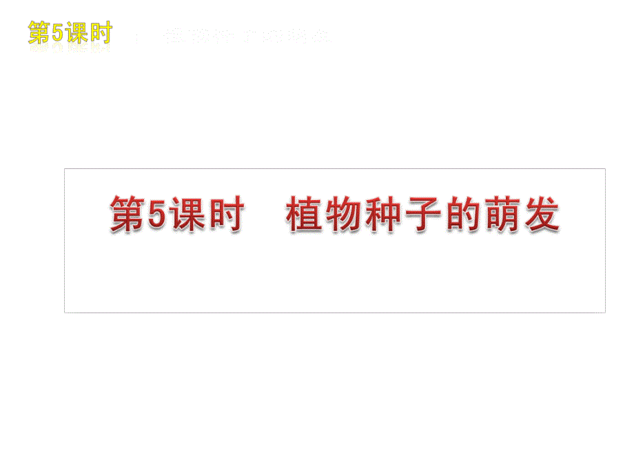 初中生物总复习课件_第3页