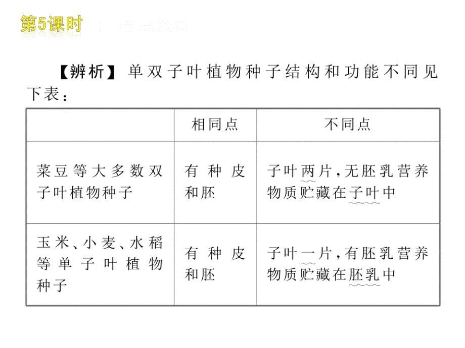 初中生物总复习课件_第5页